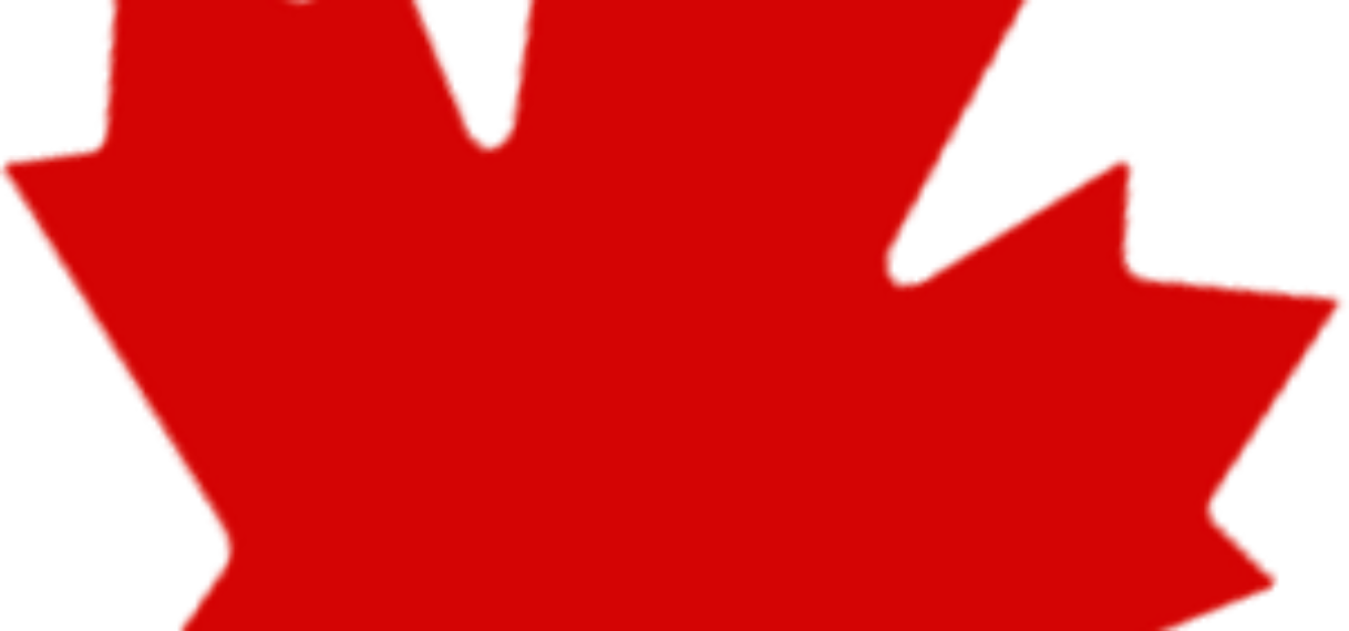 Ontario Issues 468 Invitations in August 2025 OINP Draws