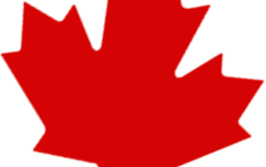 Ontario Issues 468 Invitations in August 2025 OINP Draws