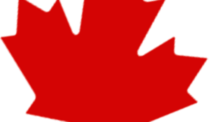 Ontario Issues 468 Invitations in August 2025 OINP Draws